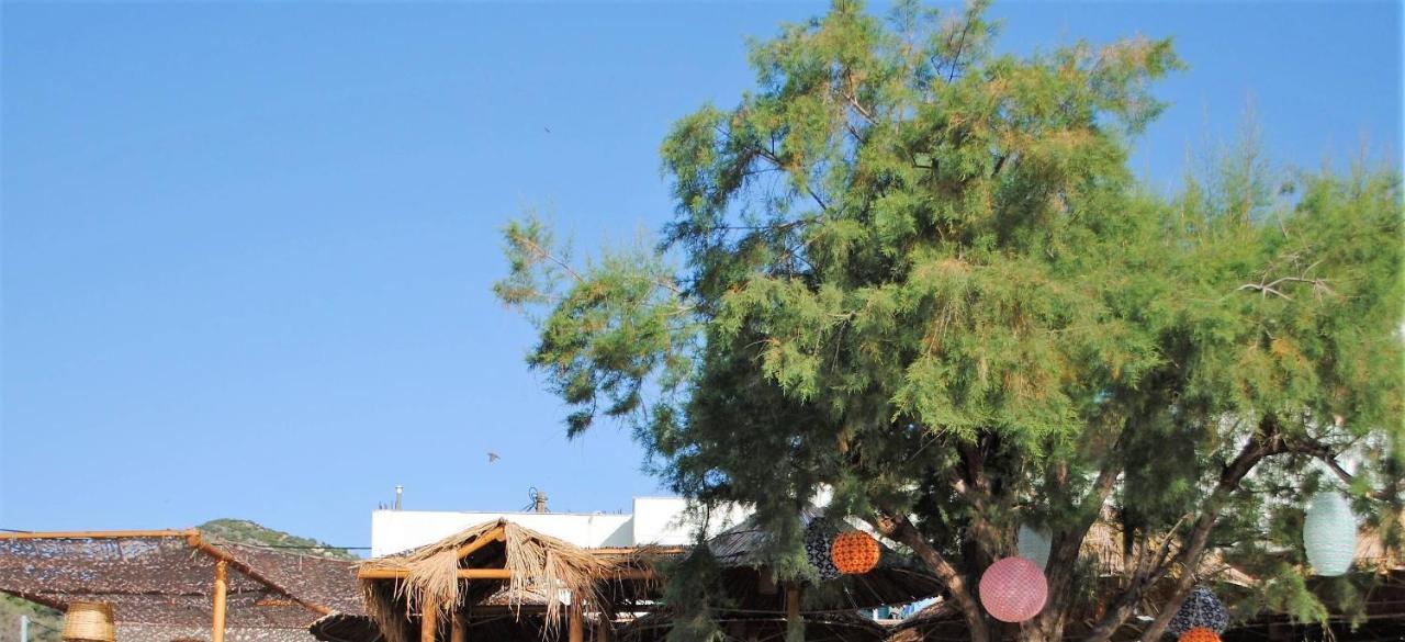 Puerto Seaside Rooms Akhladherí 外观 照片